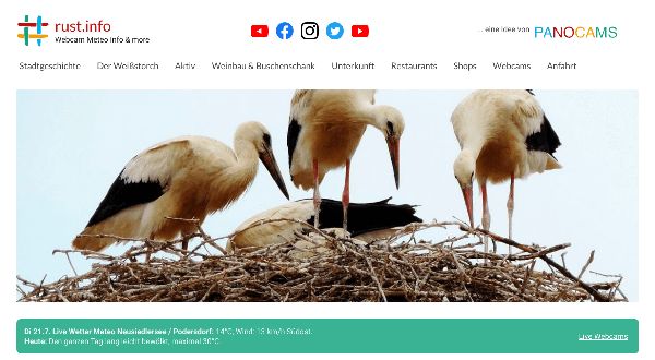 www.rust.info